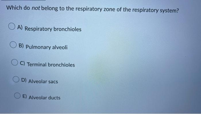 Which do not belong to the respiratory zone of the respiratory system?
A) Respiratory bronchioles
B) Pulmonary alveoli
C) Ter