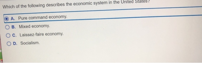 Solved Which Of The Following Describes The Economic System | Chegg.com