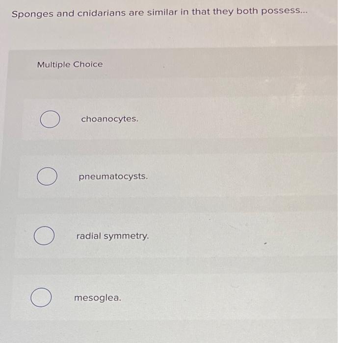 Solved Sponges and cnidarians are similar in that they both