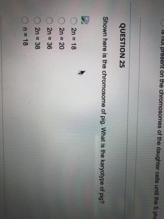 Solved Completion Status: QUESTION 21 Based on the gene and | Chegg.com