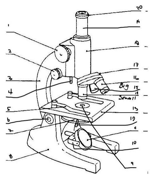 Label the parts of Microscope. | Chegg.com