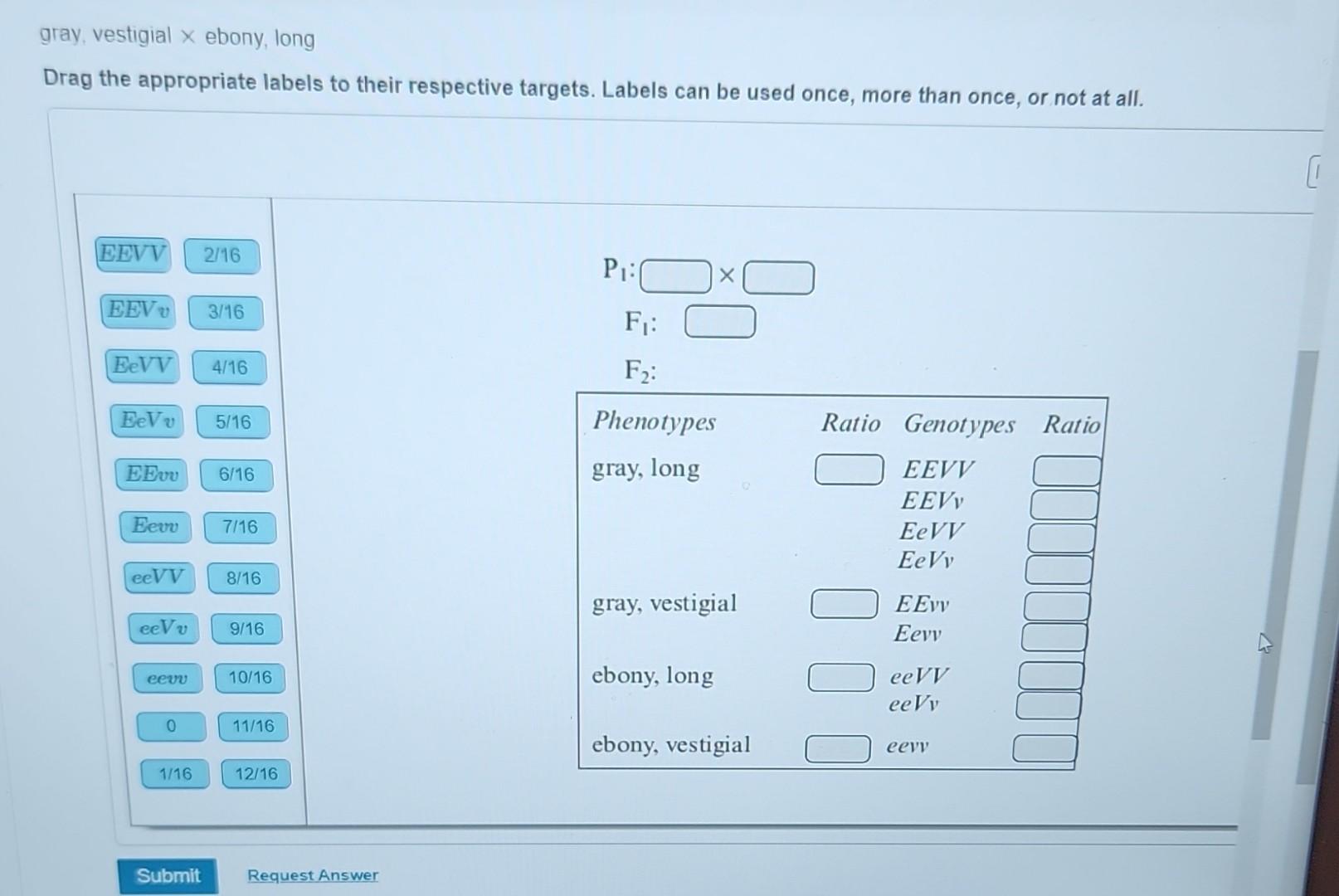 Solved In Drosophila, gray body color is dominant over ebony | Chegg.com