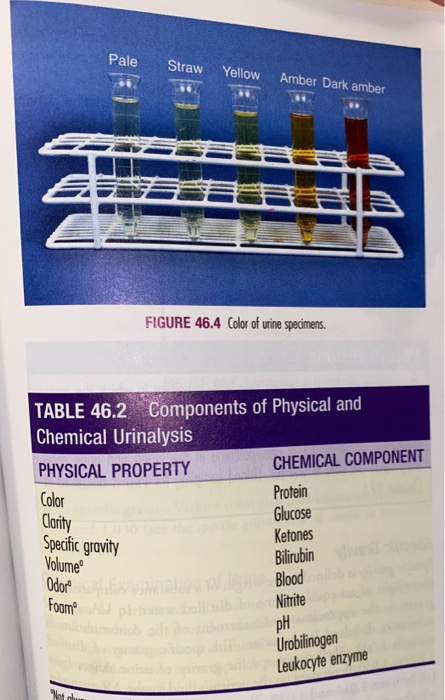 Solved 995 Chapter 46 Urinalysis WORKPLACE APPLICATIONS 1.