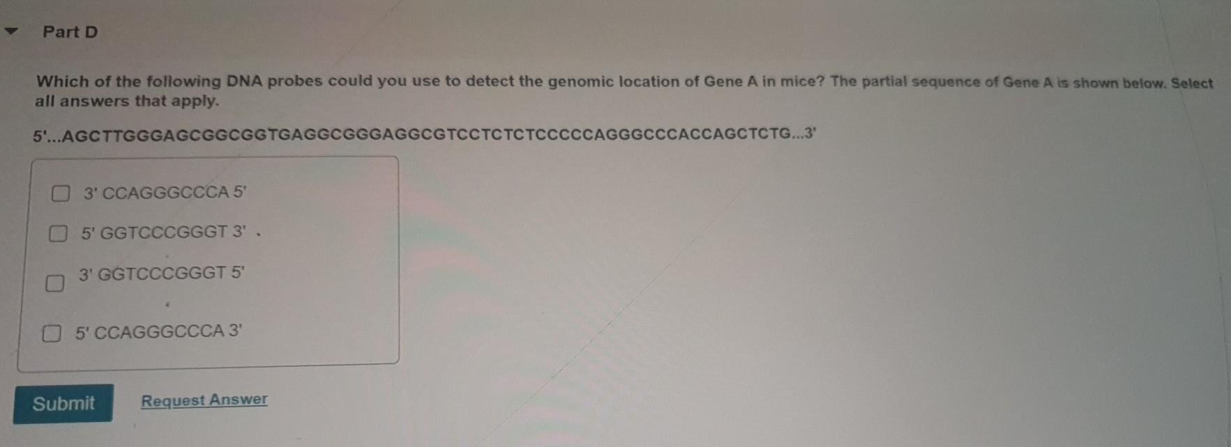 Solved Part D Which of the following DNA probes could you | Chegg.com