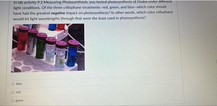 Solved How can the identities of the pigments separated by | Chegg.com