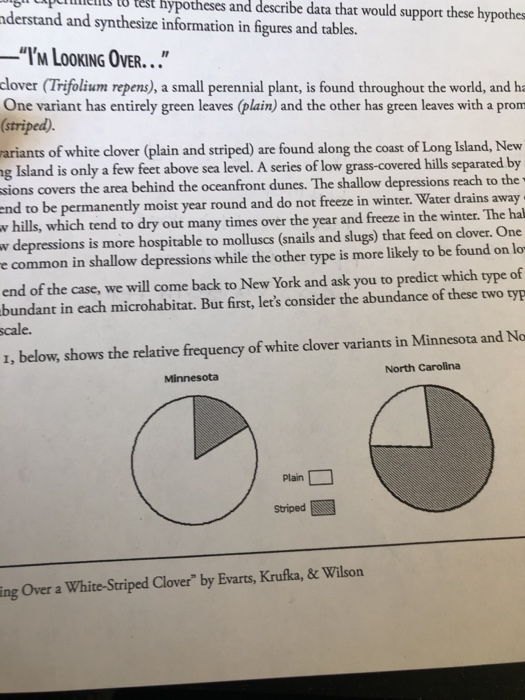 How can evolution explain the frequency of white-striped clovers image