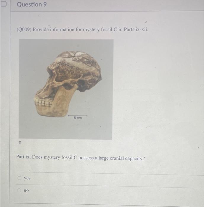 Solved Compare the mystery fossil crania depicted in the Lab