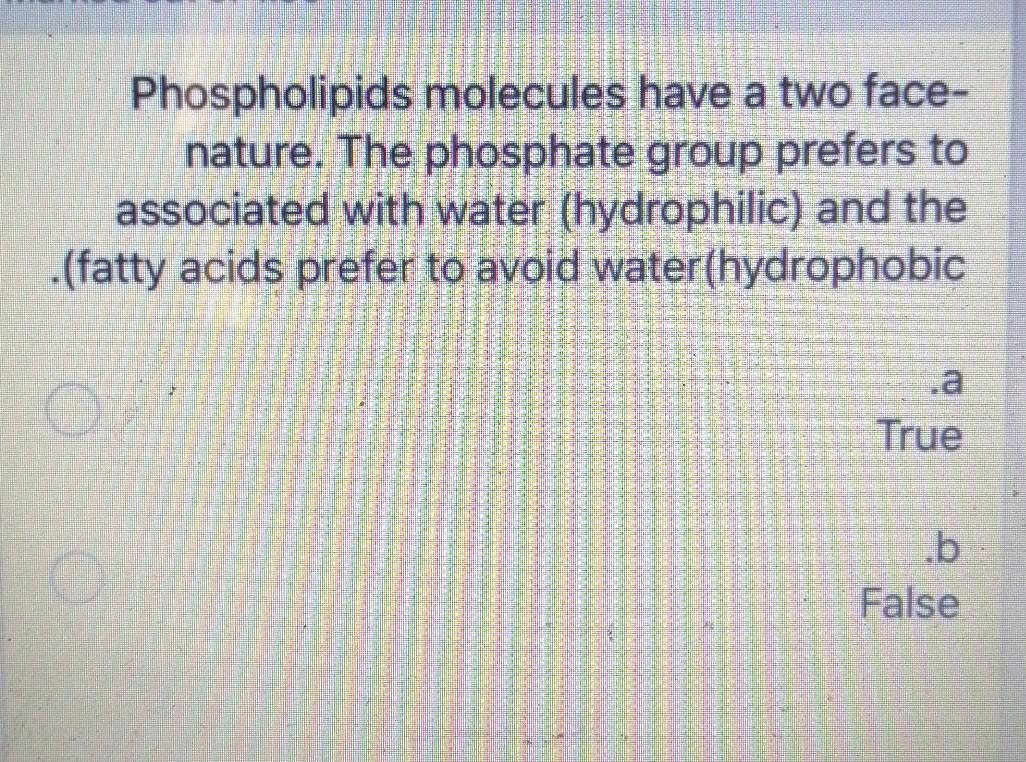 Solved Phospholipids Molecules Have A Two Face Nature The Chegg Com