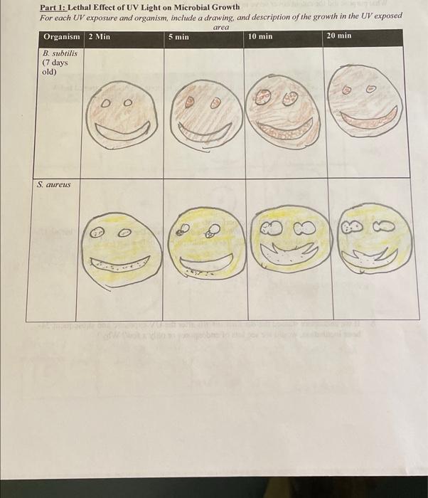 what is the dependent variable in this experiment (1 point)