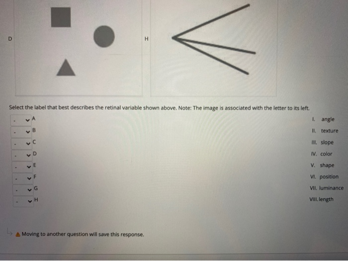 Retinal Variables