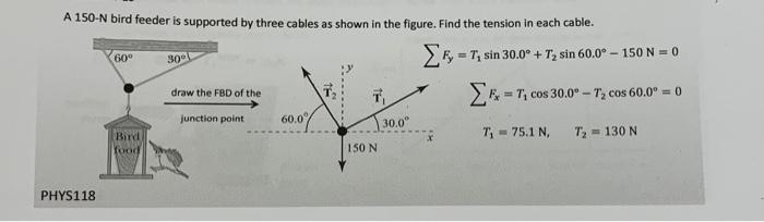 A 150N Bird Feeder is Supported by Three Cables: Optimal Setup
