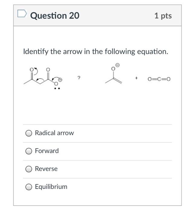 Solved Question 20 1 pts Identify the arrow in the following | Chegg.com