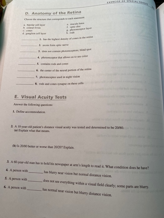 exercise 24 review sheet special senses visual tests and experiments