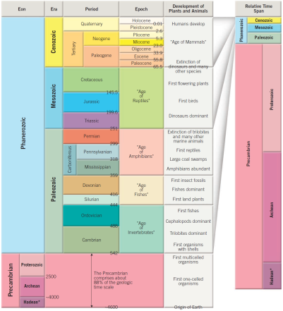 Solved: Refer to the geologic time scale in Figure The Precambr ...