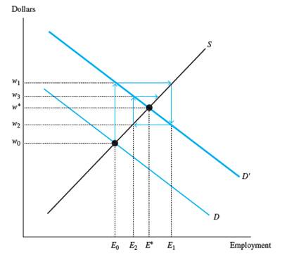 Solved: In the cobweb model of labor market equilibrium (Figure 4 ...