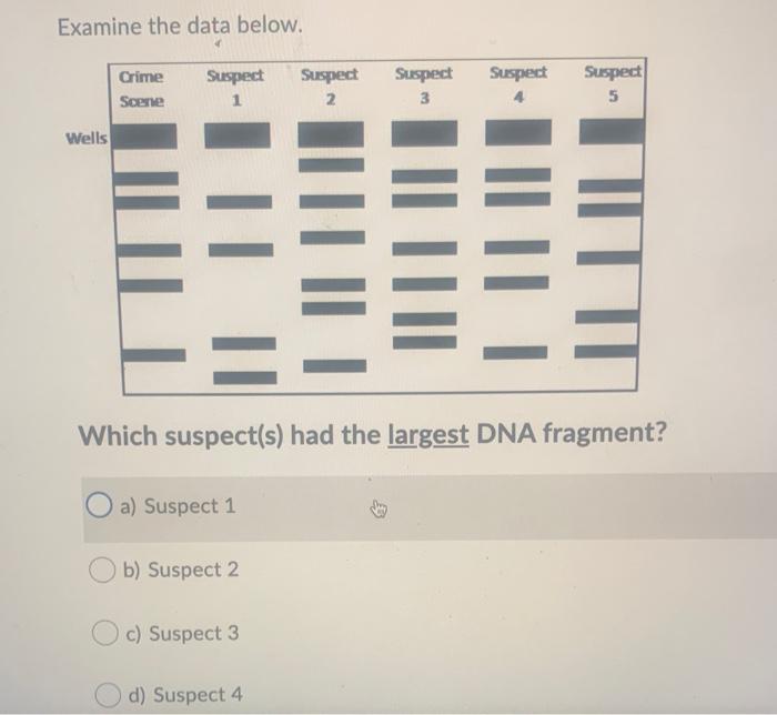 Solved Examine the data below. Crime Scene Suspect 1 Suspect | Chegg.com
