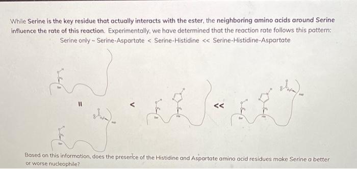 Solved While Serine is the key residue that actually | Chegg.com
