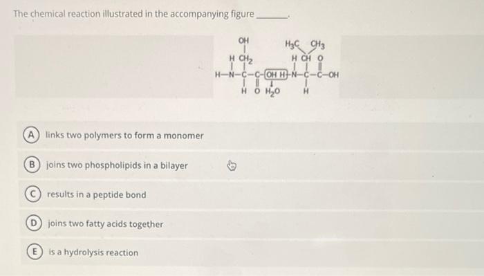 The chemical reaction illustrated in the accompanying figure
links two polymers to form a monomer
joins two phospholipids in 