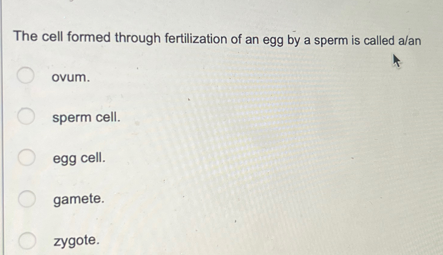 the production of sperm and egg is called
