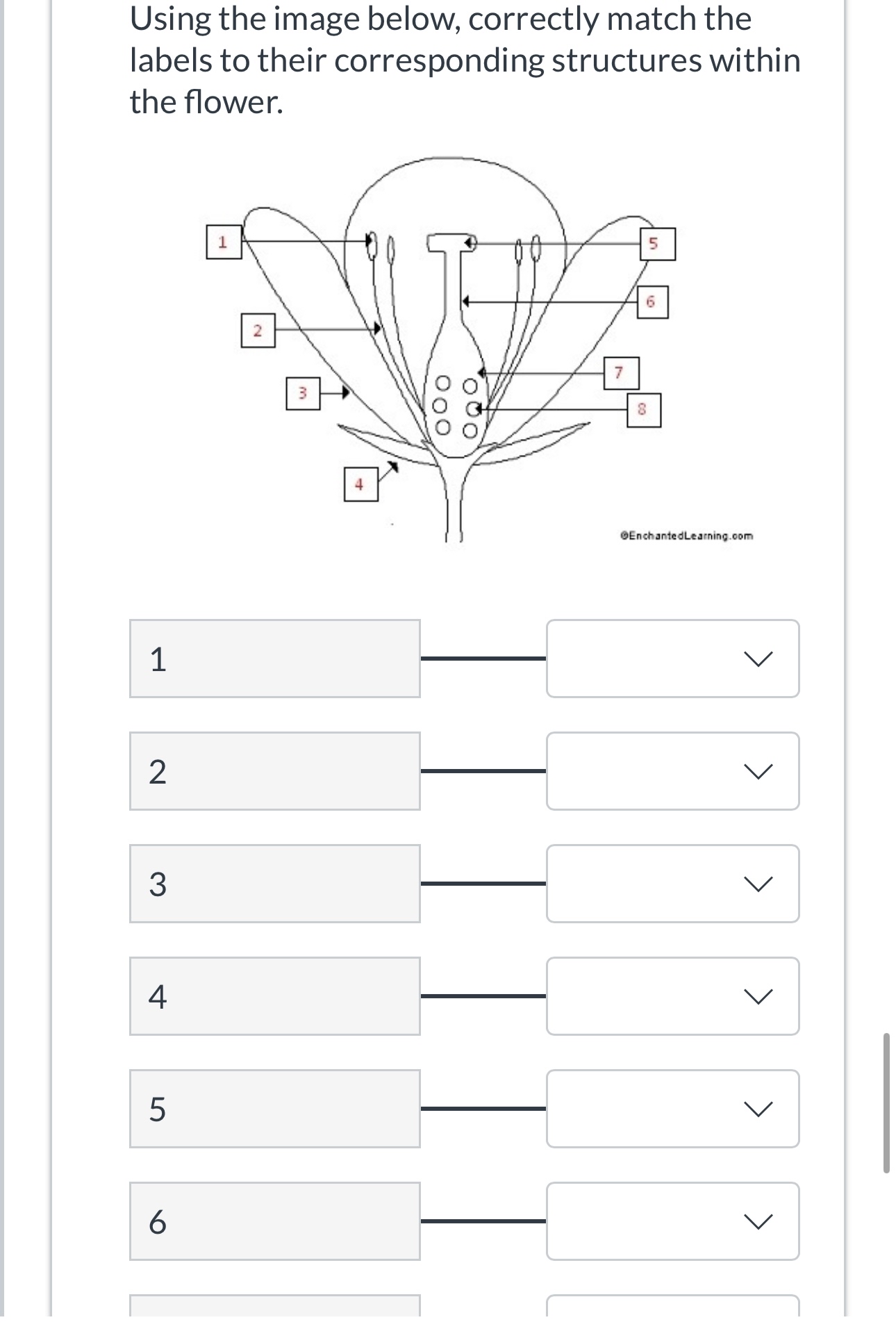 Solved Using the image below, correctly match the labels to | Chegg.com