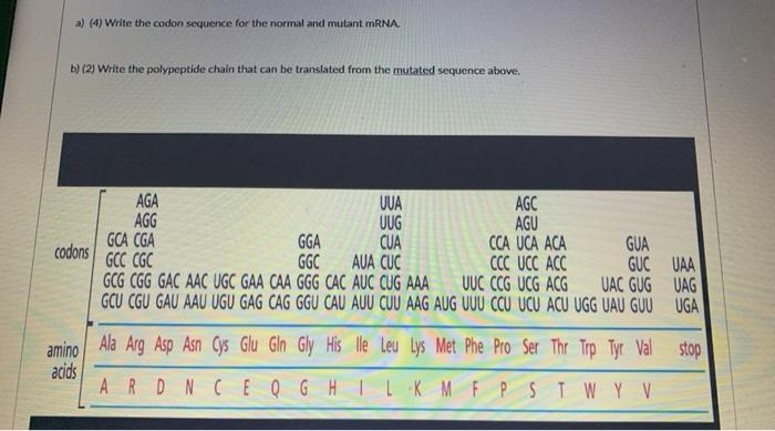 a) () Write the codon sequence for the normal and | Chegg.com