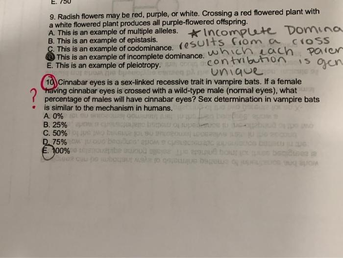 Solved E. is gen 9. Radish flowers may be red, purple, or