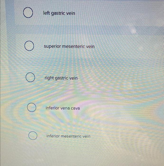 left gastric vein
superior mesenteric vein
right gastric vein
inferior vena cava
inferior mesenteric vein