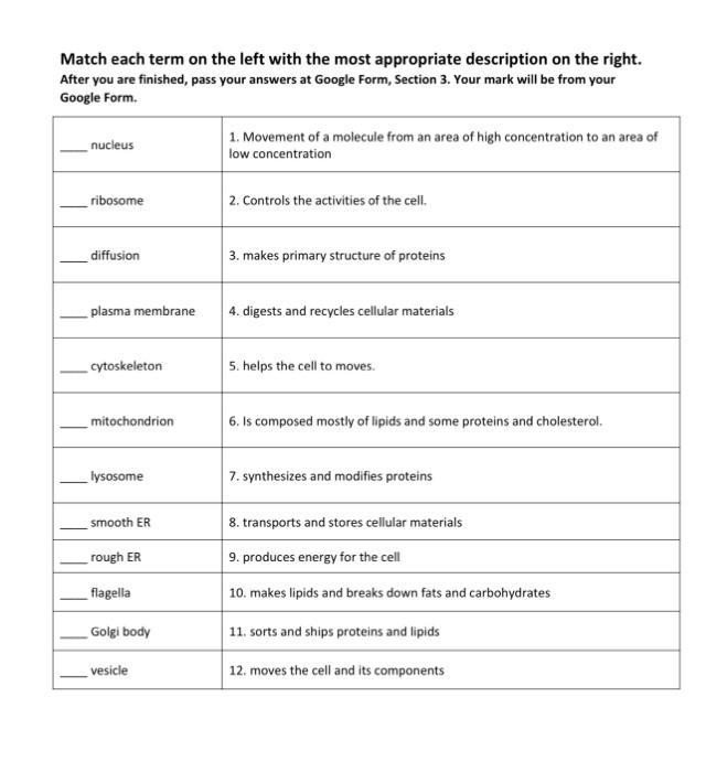 Solved Match each term on the left with the most appropriate | Chegg.com