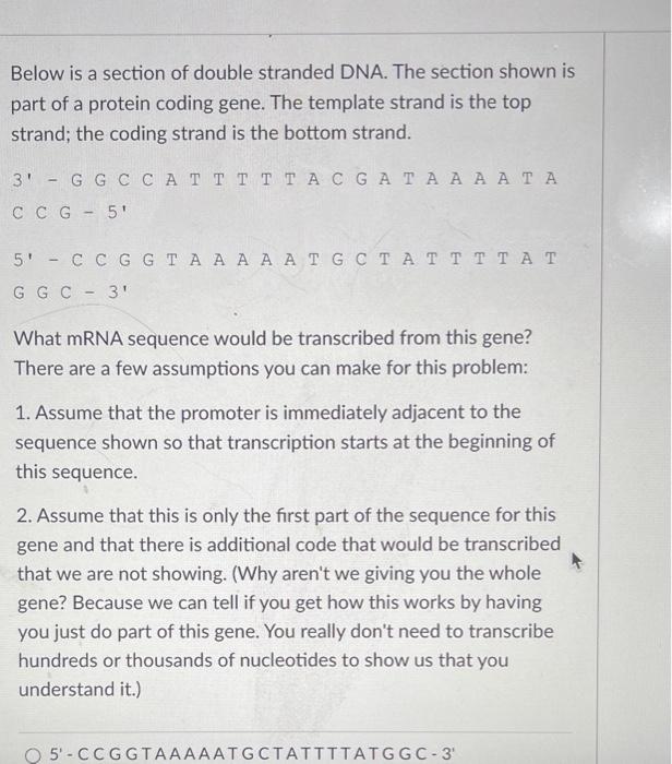 Solved Below is a section of double stranded DNA. The | Chegg.com