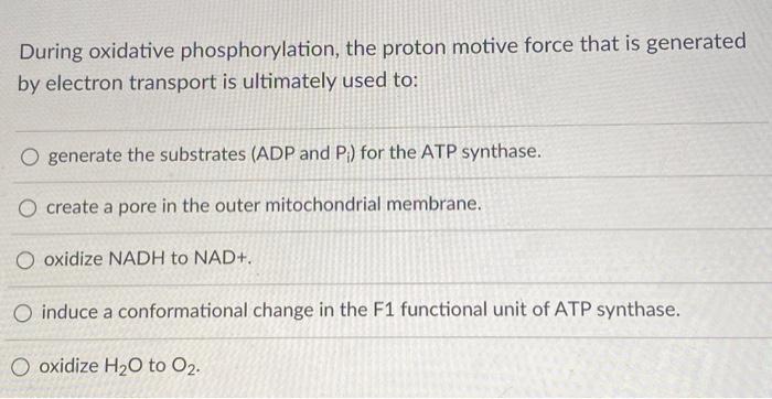 During oxidative phosphorylation, the proton motive force that is generated by electron transport is ultimately used to:
gene