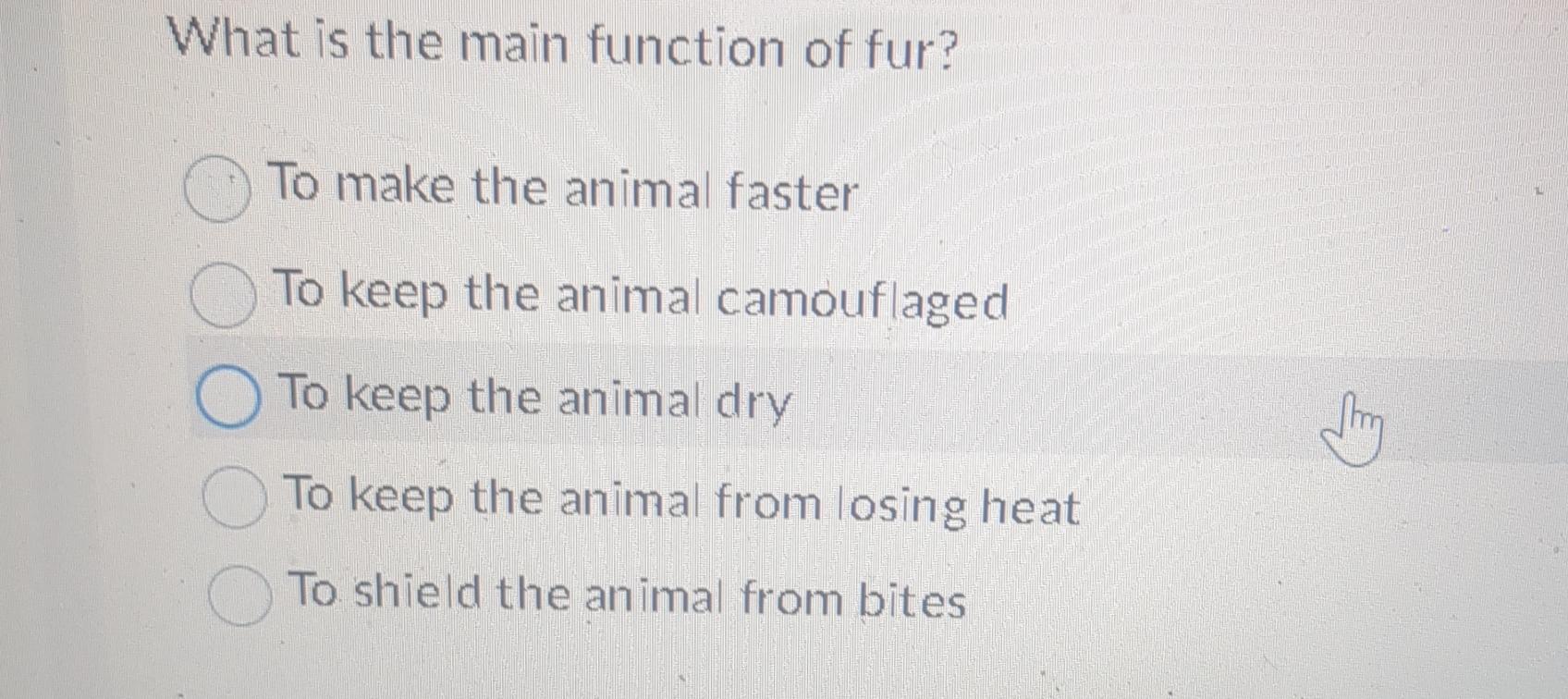 Solved What is the main function of fur?To make the animal