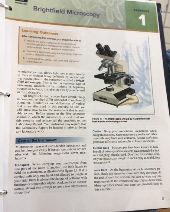 bright field microscope parts