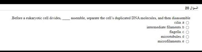 Solved السؤال 20 Before a eukaryotic cell divides, assemble, | Chegg.com
