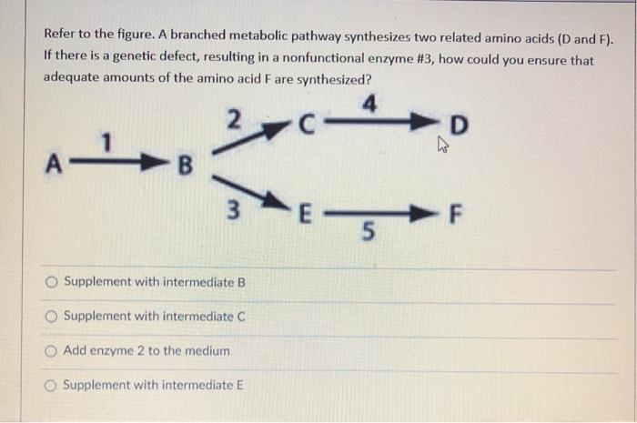 Solved Refer to the figure. A branched metabolic pathway | Chegg.com