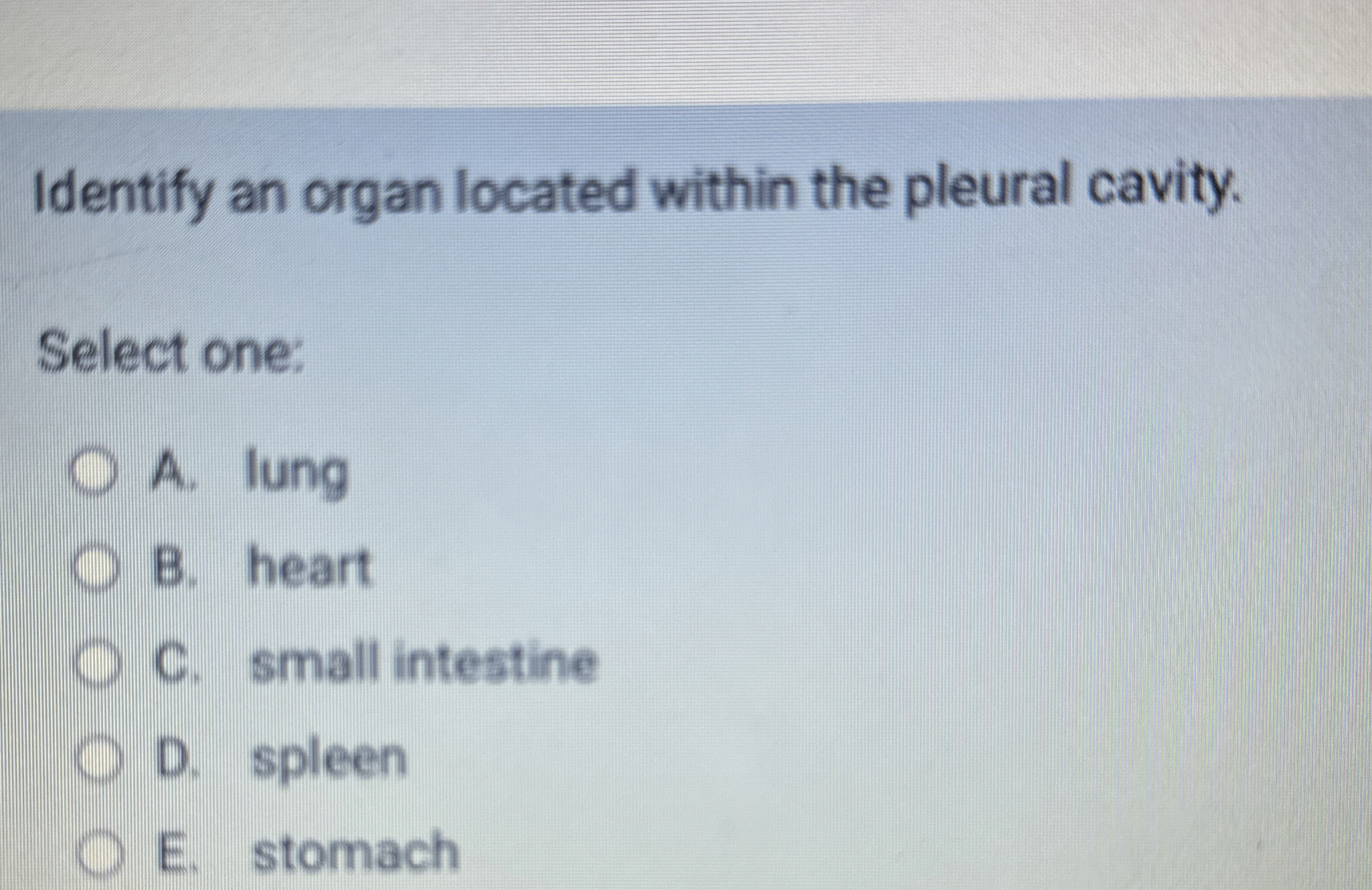 Solved Identify an organ located within the pleural | Chegg.com