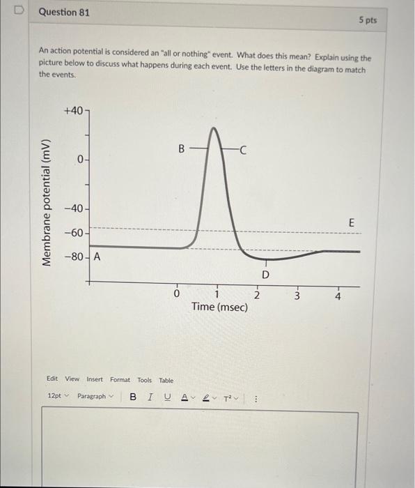 why is an action potential considered an all or nothing event