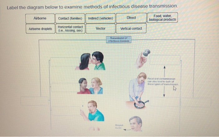 Solved Label the diagram below to examine methods of | Chegg.com