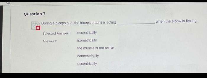 Solved Question 7 During a biceps curl the triceps brachii Chegg com