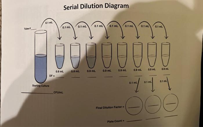 Serial dilution