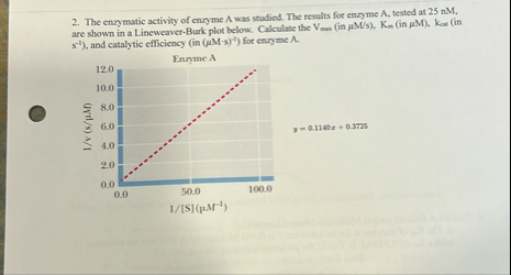 Solved The enzymatic activity of enzyme A was stadied. The | Chegg.com