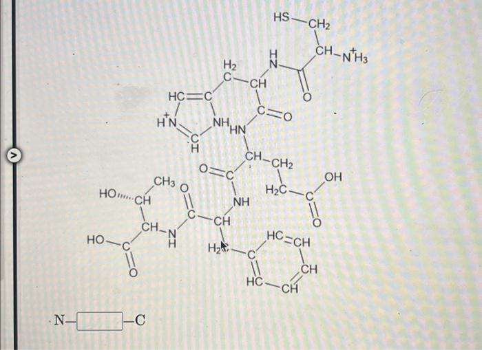 Consider the peptide structures shown and give the | Chegg.com