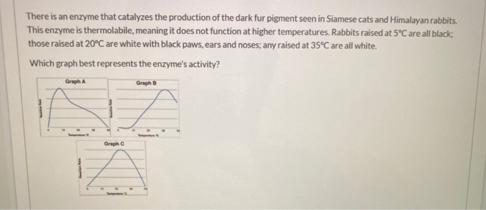 Solved There is an enzyme that catalyzes the production of | Chegg.com