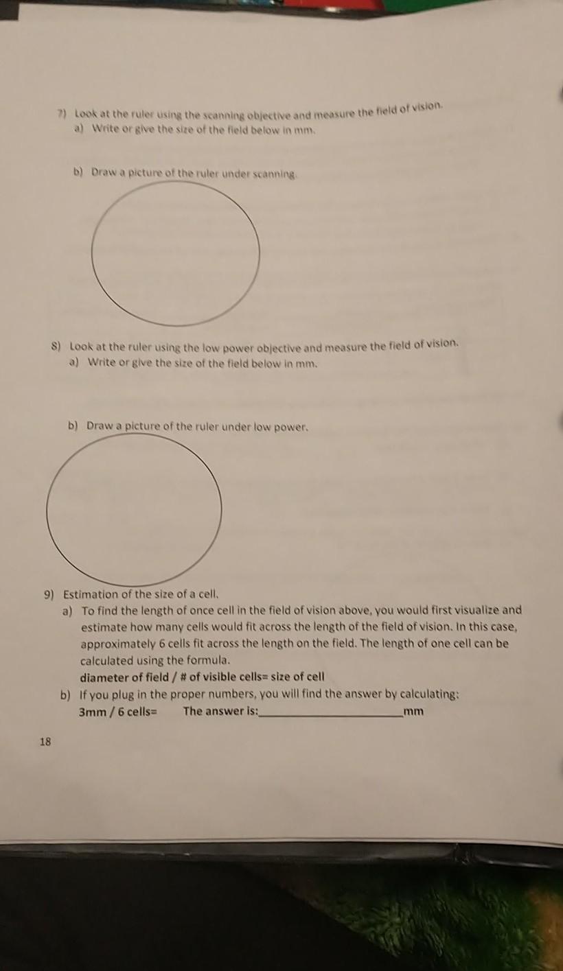 Solved 7) Look at the ruler using the scanning objective and | Chegg.com