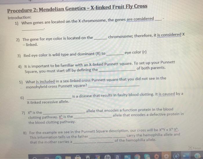 Solved Procedure 2 Mendelian Xlinked Fruit Fly