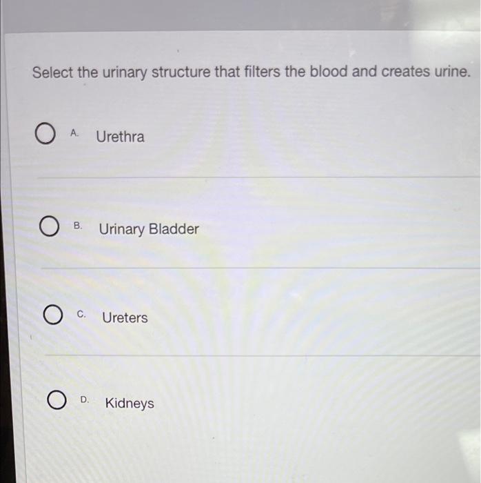 Solved Select the urinary structure that filters the blood