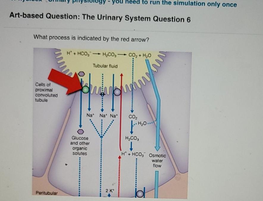 Solved ou need to run the simulation only once Artbased