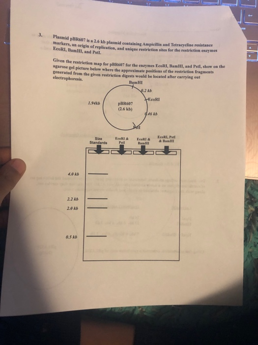 Restriction Mapg Below Is A Restriction Map For Chegg 