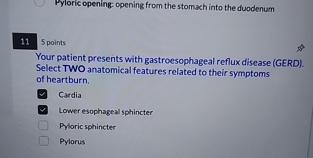 Solved Pyloric opening: opening from the stomach into the | Chegg.com