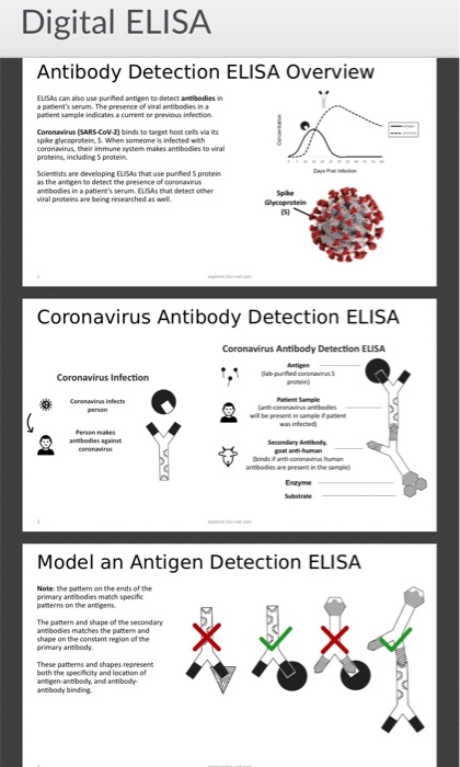 Solved Digital ELISA Antibody Detection ELISA Overview | Chegg.com