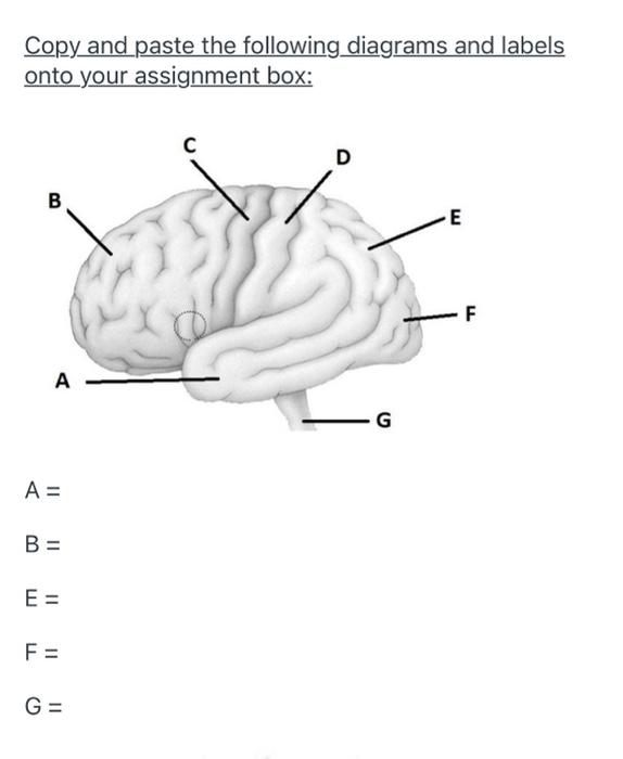 Solved Copy and paste the following diagrams onto your | Chegg.com